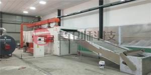 Mushroom Dryer Machine