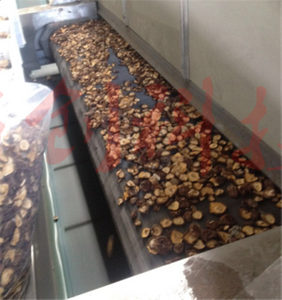 Mushroom Drying Machine