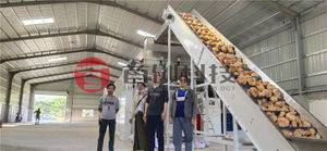 Konjac Mesh Belt Dryer Machine