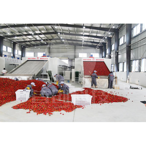 High efficiency machinery red chili drying vegetable dryer machine