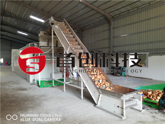 Porang Drying Machine