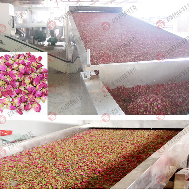 Hot Air Mesh Belt System Large Drying Production Line