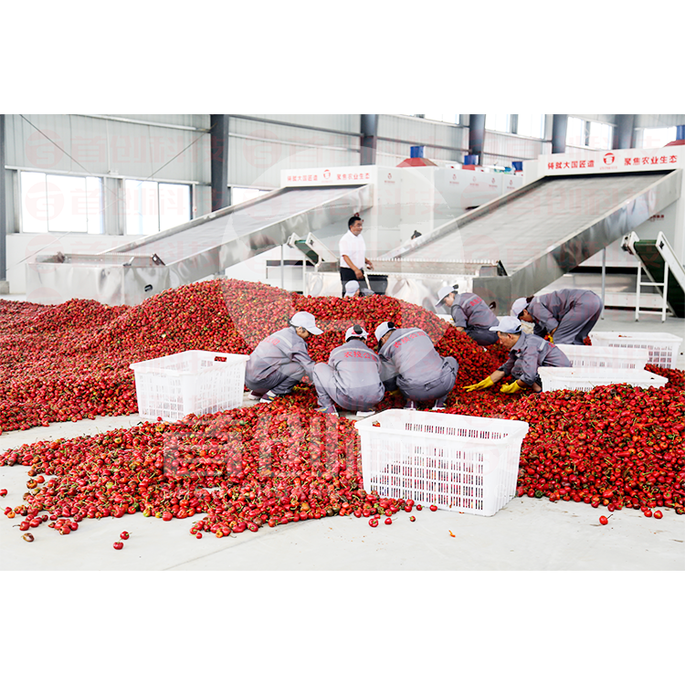 High efficiency machinery red chili drying vegetable dryer machine