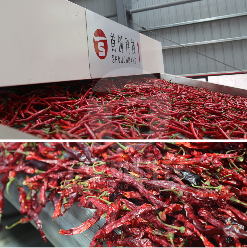 Dried red bell pepper dryer hot air continuous dynamic system circulation chilies drying machine