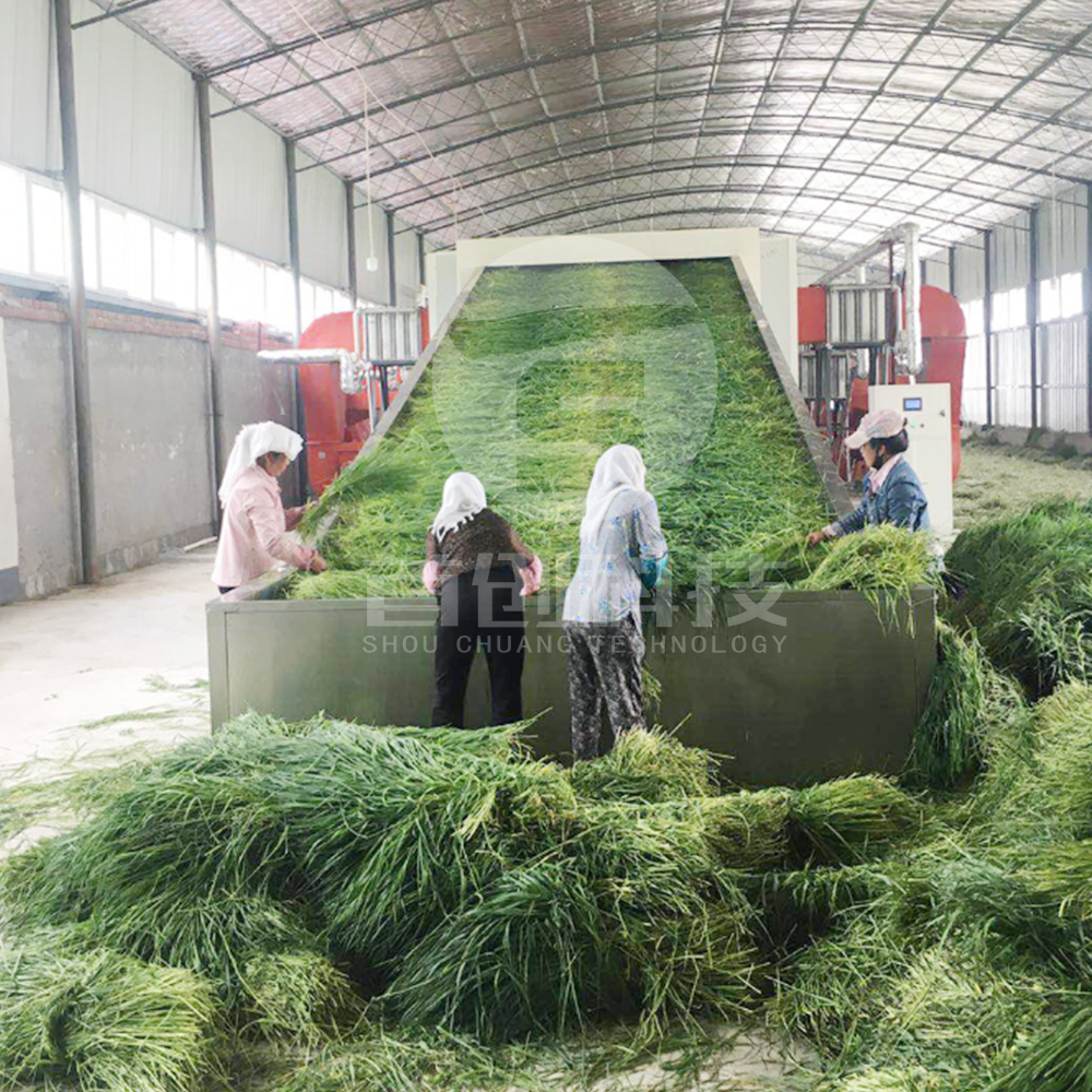 New technology machine for processing alfalfa hay dry grass mesh belt dryer