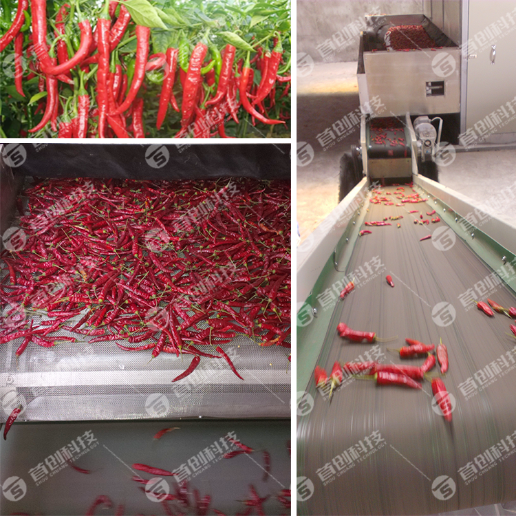 High Yield Dried Powder Chilli Seasoning Gas Heat Source Chili White Pepper Making Machine For Sale
