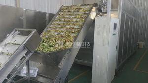 Shea Nut Drying Machine